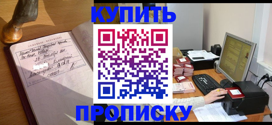 прописка 2025 в Королёве